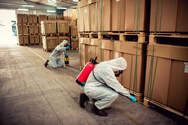 Best Affordable Pest Control Services  in Weidman, MI