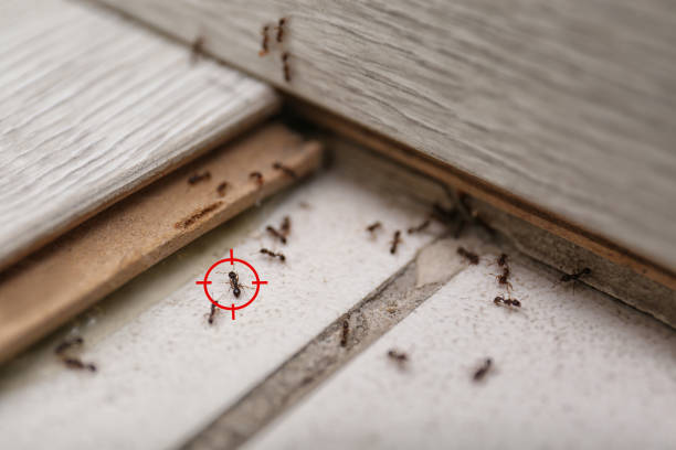Weidman, MI Pest Control Company