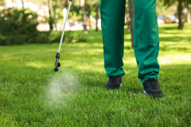 Best Cockroach Control Services  in Weidman, MI