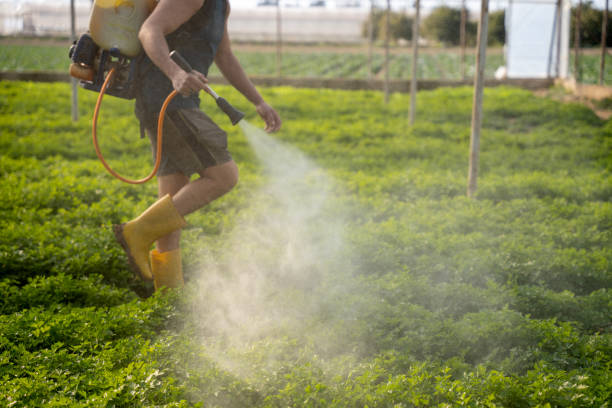Best Best Pest Control Companies  in Weidman, MI