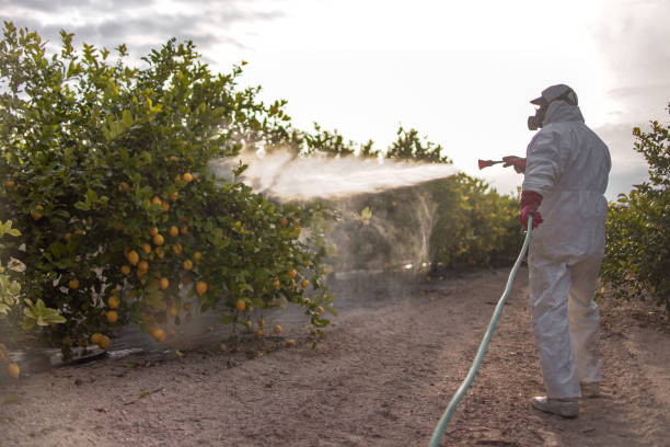 Best Affordable Pest Control Services  in Weidman, MI