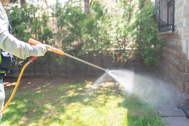 Best Mosquito Control Services  in Weidman, MI