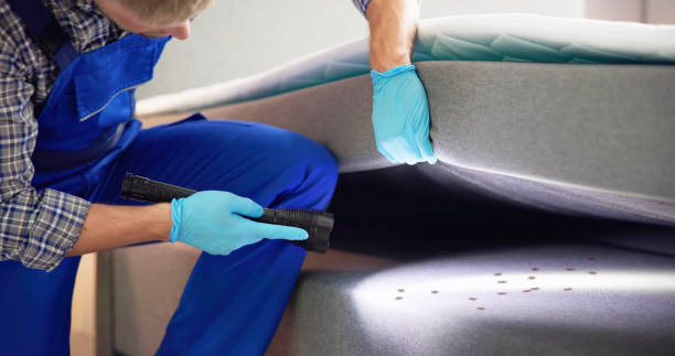 Pest Control Cost in Weidman, MI