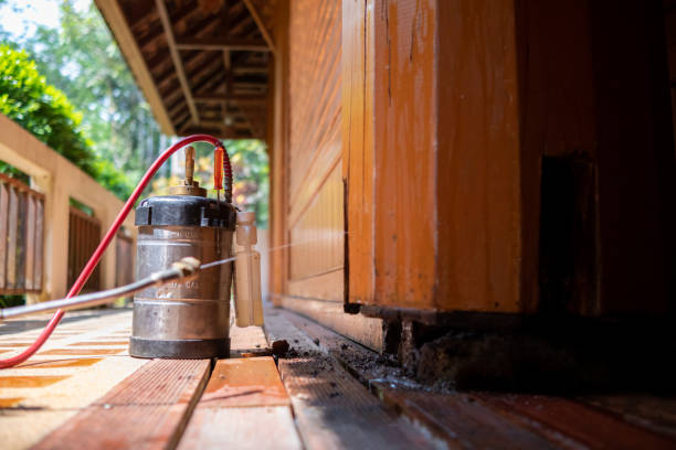 Best Pest Prevention Services  in Weidman, MI