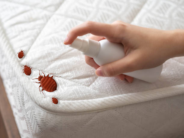 Best Ant Control Services  in Weidman, MI